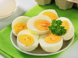 تغذیه با تخم مرغ