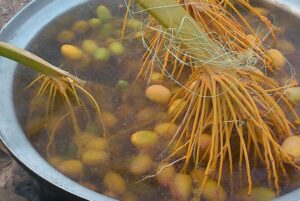 خارک پخته (بوشهر)