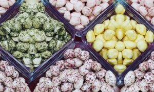 شکر پنیر (خراسان شمالی) و (فارس)