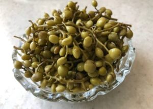 ترشی ونوشک یا پسته وحشی (کرمانشاه)